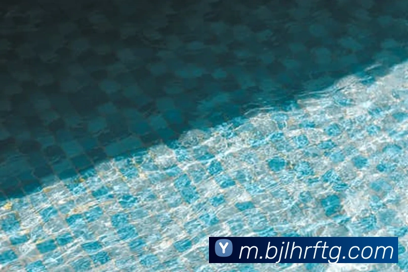 澳门百家乐网站服务体系